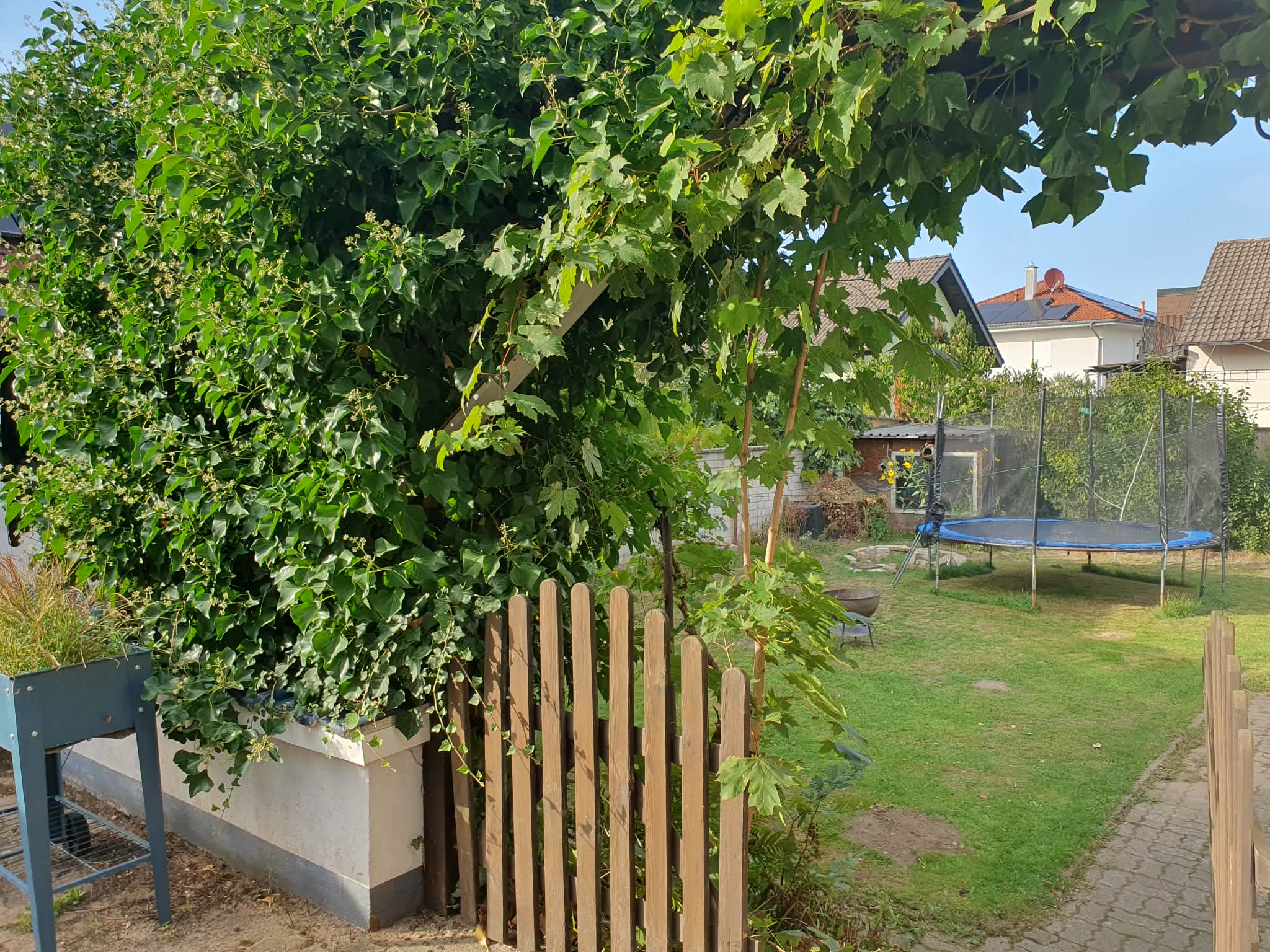 Garten mit Rasen und Trampolin